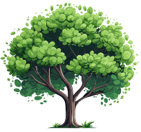 Plant Popular Trees